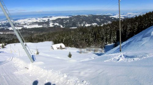 17. Februar 2012
