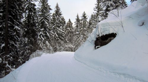 17. Februar 2012
