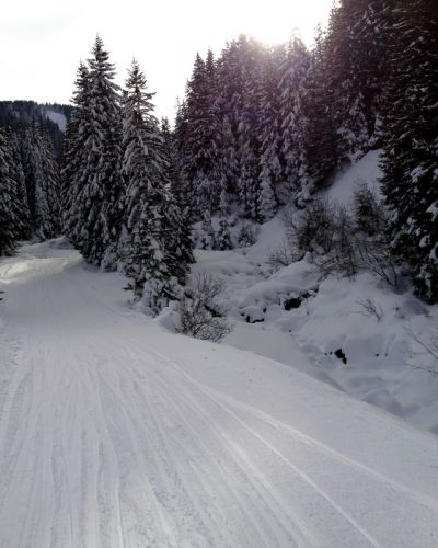 17. Februar 2012
