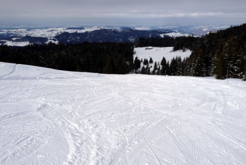 17. Februar 2012
