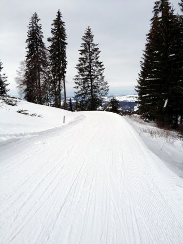 17. Februar 2012
