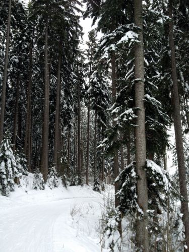 17. Februar 2012
