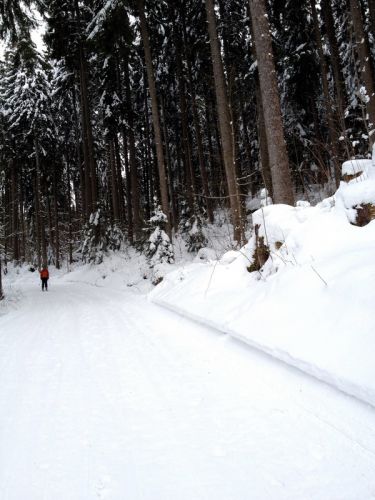 17. Februar 2012
