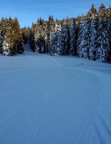 17. Februar 2012

