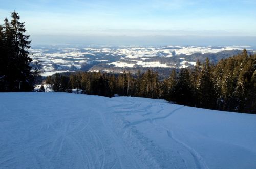 17. Februar 2012
