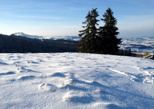 17. Februar 2012
