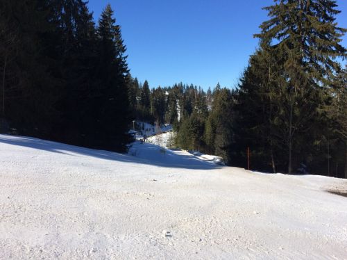 19. Februar 2015
