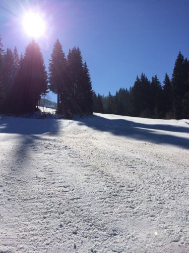 19. Februar 2015
