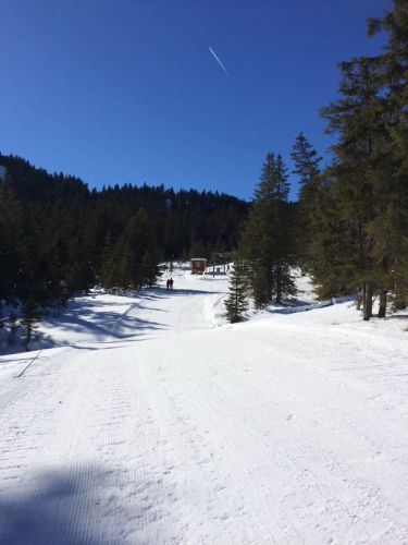 19. Februar 2015
