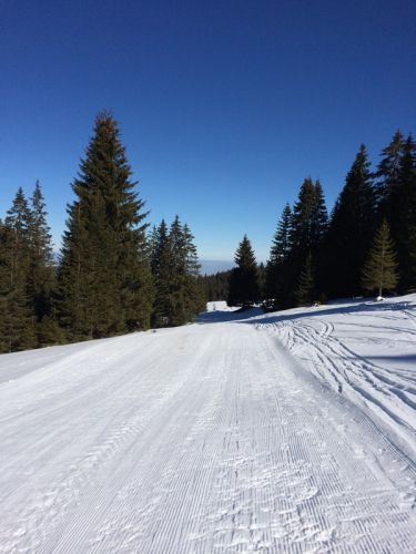 19. Februar 2015
