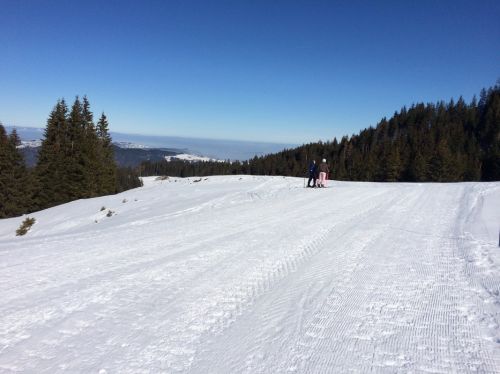 19. Februar 2015

