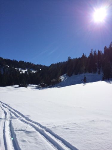 19. Februar 2015
