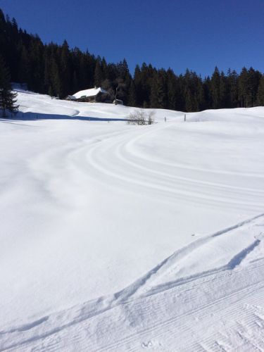 19. Februar 2015
