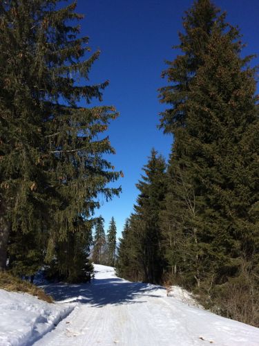 19. Februar 2015
