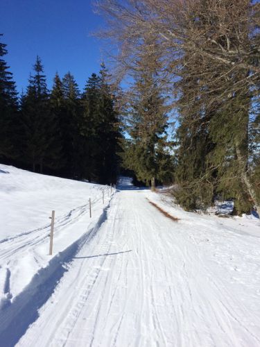 19. Februar 2015
