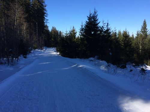 19. Februar 2015
