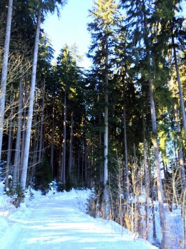 19. Februar 2015
