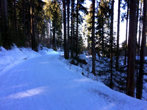 19. Februar 2015
