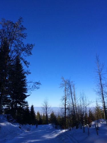 19. Februar 2015
