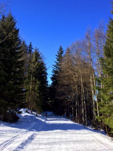 19. Februar 2015
