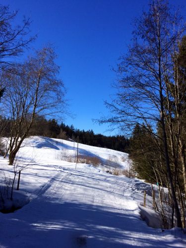 19. Februar 2015
