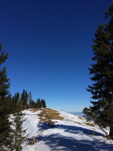 19. Februar 2015

