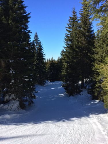 19. Februar 2015
