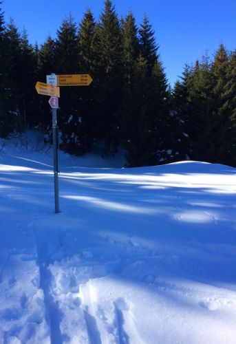 19. Februar 2015
