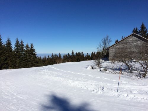 20150219-rueschegg-7297.jpg