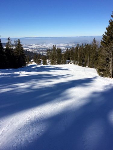 19. Februar 2015
