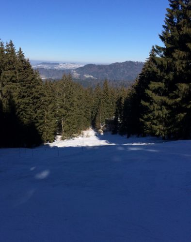 19. Februar 2015
