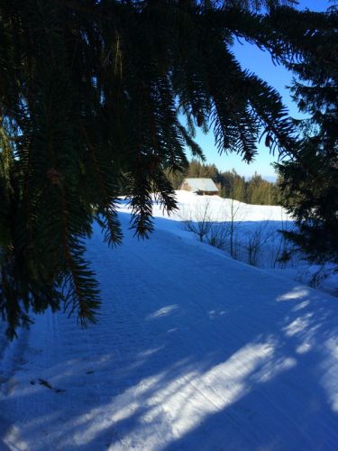 19. Februar 2015
