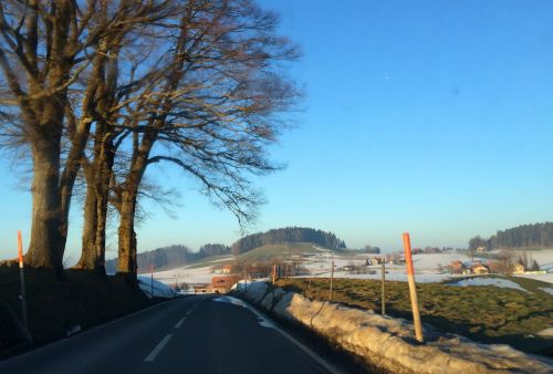 19. Februar 2015
