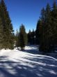 20150219-rueschegg-7249.jpg