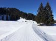 20150219-rueschegg-7254.jpg