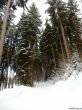 20190208-b-rueschegg-039.jpg