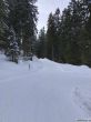 20190208-b-rueschegg-041.jpg