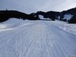 20190208-b-rueschegg-044.jpg
