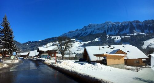 20. Januar 2017
