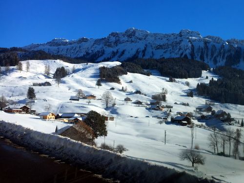 20. Januar 2017
