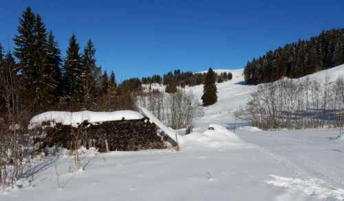 20. Januar 2017
