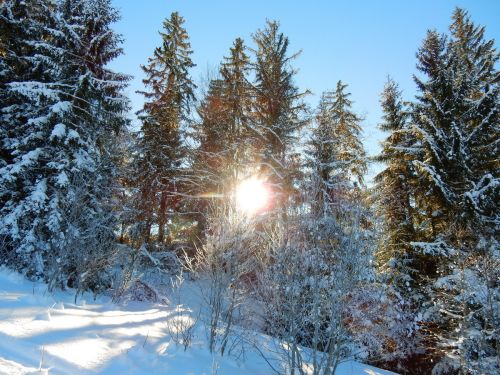 20. Januar 2017
