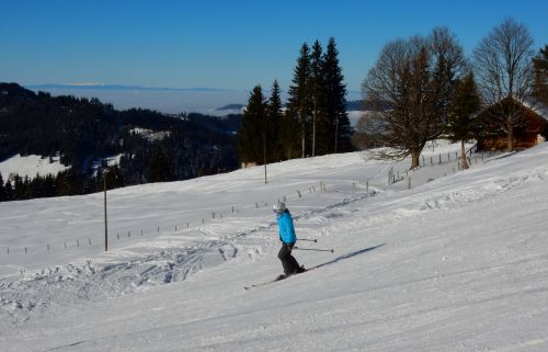 20. Januar 2017
