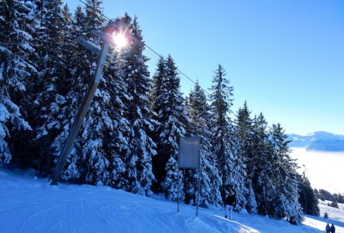 20. Januar 2017
