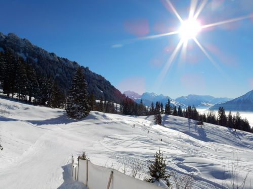 20. Januar 2017

