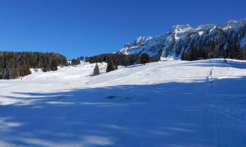 20. Januar 2017
