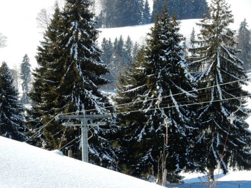 20. Januar 2017
