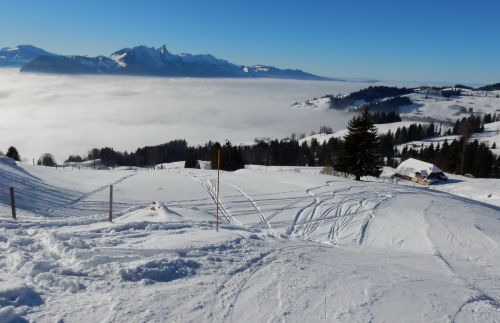 20. Januar 2017 
