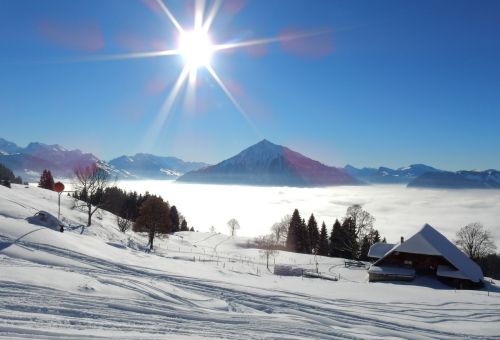 20. Januar 2017
