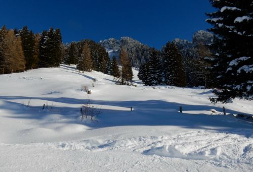 20. Januar 2017
